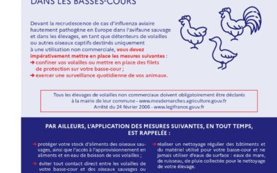 Renforcement des mesures de biosécurité pour lutter contre l’influenza aviaire dans les basses cours